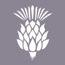 Thistle