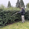 Green Garden Landscaping gallery