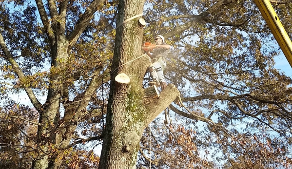 Chuck Holloway's Tree Care LLC - Drummonds, TN