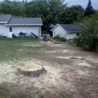 T&J Tree & Stump Removal