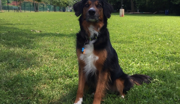 University City Dog Park - Saint Louis, MO