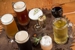 Shingletown Saloon - Brew Pubs