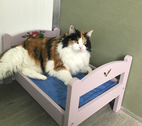 Creekside Pet Boarding - Arroyo Grande, CA. Mabel loves her cat suite.