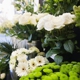 Seulberger's Florist & Gifts