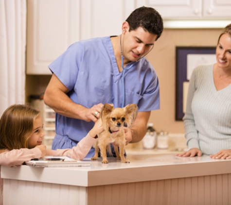 InstaVet Home Veterinary Care - Brooklyn, NY