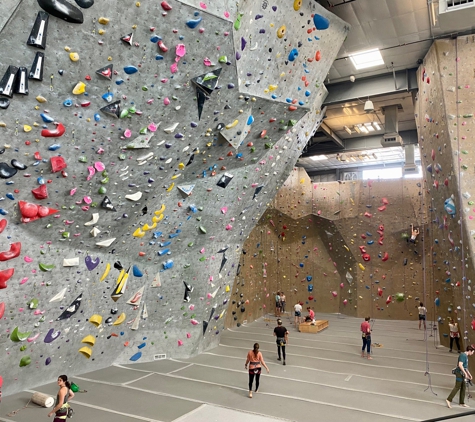 Movement Climbing & Fitness - Boulder, CO