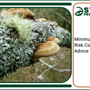 Systems Pest Management Pty Ltd - Thornleigh, NSW. Minimum Termite Risk Construction Advice