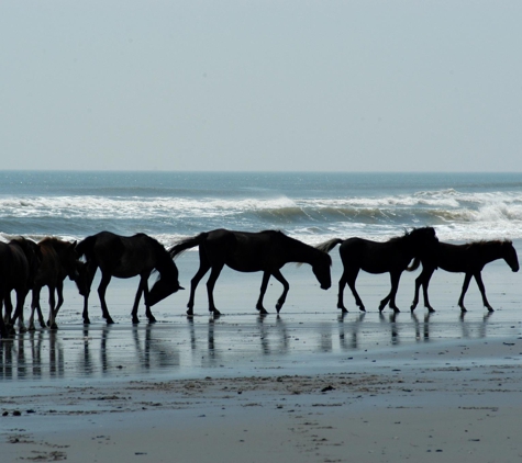 Corolla Outback Adventures - Corolla, NC