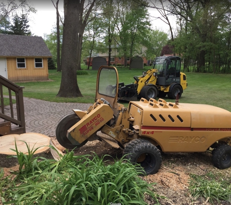 A  W D Tree Service - Rochester, MI. Stumper