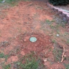Bell Pest Control gallery