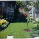 Offshore Landscaping - Lawn Maintenance