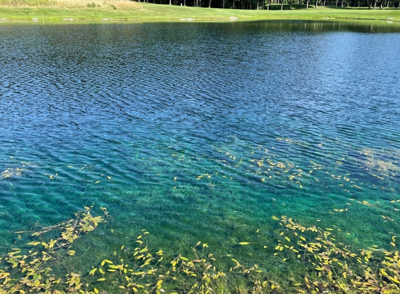 Coyote Golf Club - New Hudson, MI