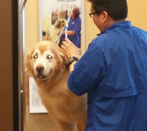 PetSmart - Fairfax, VA