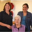 Home Instead #230 Minneapolis & West Suburbs - Eldercare-Home Health Services