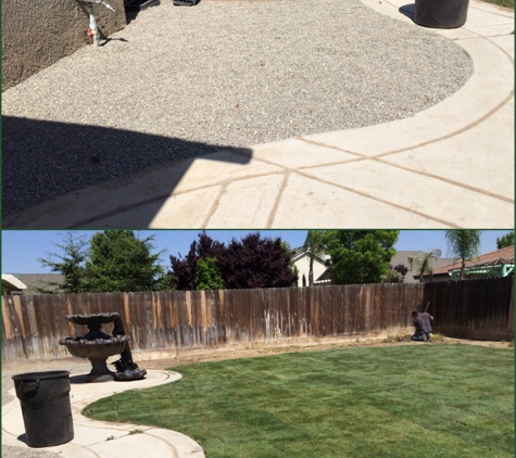 Picture Perfect Lawn - Fresno, CA