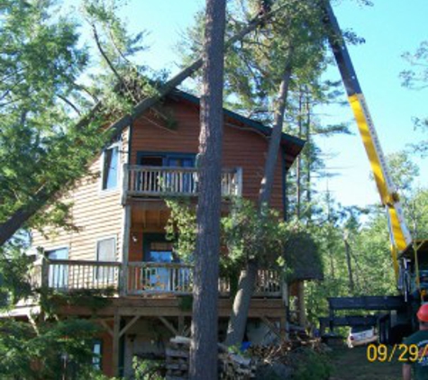 Adirondack Tree Surgeons Inc