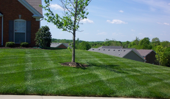 ACE Landscaping Inc - Hermitage, TN