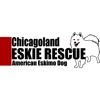 Chicagoland Eskie Rescue gallery
