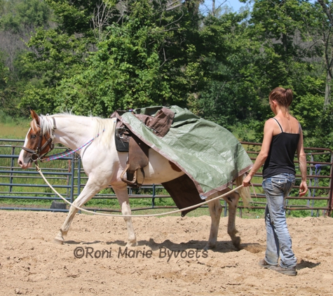 Salt Creek Stables - Valparaiso, IN