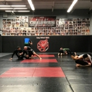 Long Island MMA & Fitness Center - Martial Arts Instruction