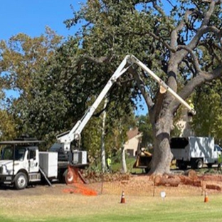 Newbury Park Tree Service - Thousand Oaks, CA