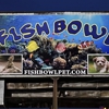Fish Bowl Aquarium and Pet Mart gallery