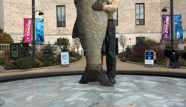 Shedd Aquarium - Chicago, IL