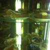 Hilltop Restaurant gallery