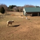 Fox Hollow Farm Gaithersburg