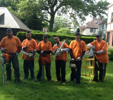 C.R Tree Service - Roosevelt, NY