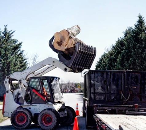 North Andover Tree Services - North Andover, MA. Tree Stump Removal