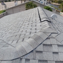 Buona Vista Roofing