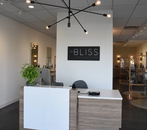 Company Bliss Salon - Naperville, IL. Reception desk