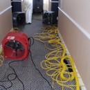 Expert Dry - Water Damage Restoration