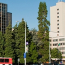 Gynecology Oncology Clinic at UW Medical Center - Montlake - Physicians & Surgeons, Oncology