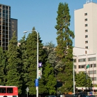 Fred Hutch at UW Medical Center - Montlake