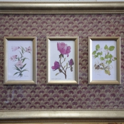 Gallery Image Number 1