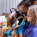 Full Circle Equine Veterinary Services - Veterinarians