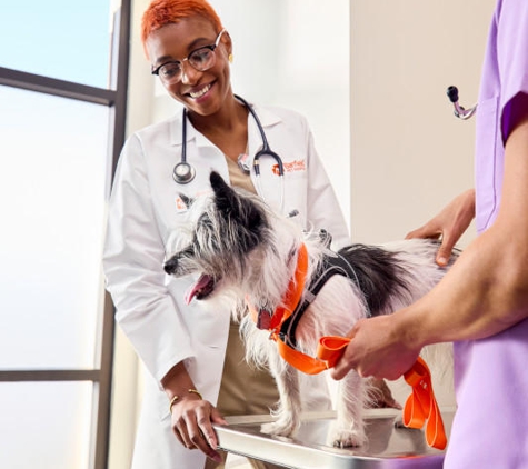 Banfield Pet Hospital - Denver, CO