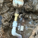 The Parish Plumber