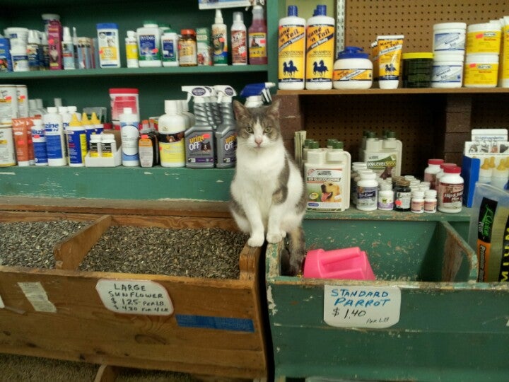 Alamo feed 2025 and pet supply