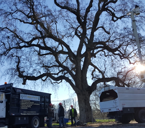 A & E Arborists Tree Care - Yuba City, CA