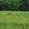 Savanna Portage State Park gallery