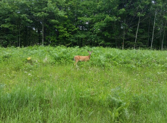 Savanna Portage State Park - McGregor, MN