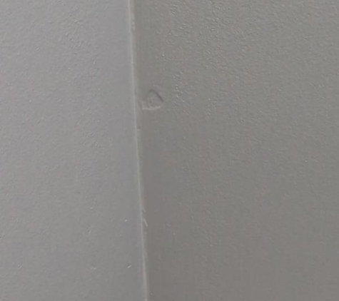 High-Calibre Painting and Decorating Services - Blue Haven, NSW