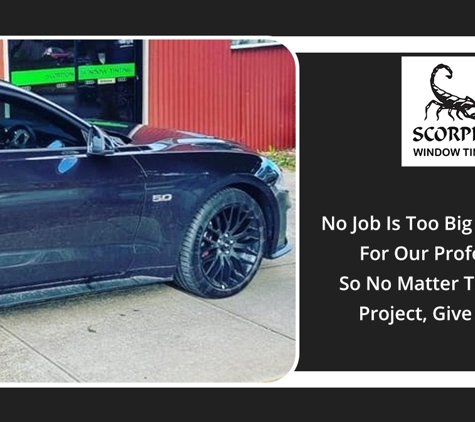 Scorpion Window Tinting - Enfield, SA. No Job Is Too Big Or Too Small For Our Professionals So No Matter The Scale Of Project, Give Us A Call