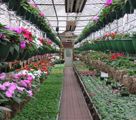 Gilmore's Greenhouse Florist - Warren, OH