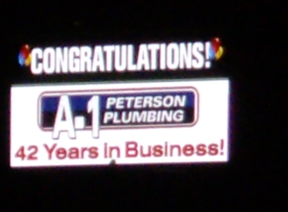 A-1 Peterson Plumbing, Inc - Orange, TX