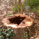 Acer Tree Service LLC - Tree Service