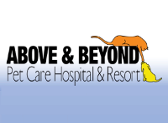 Above & Beyond Pet Care Hospital - Lubbock, TX